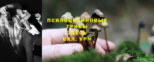 прущий лед Алексеевка
